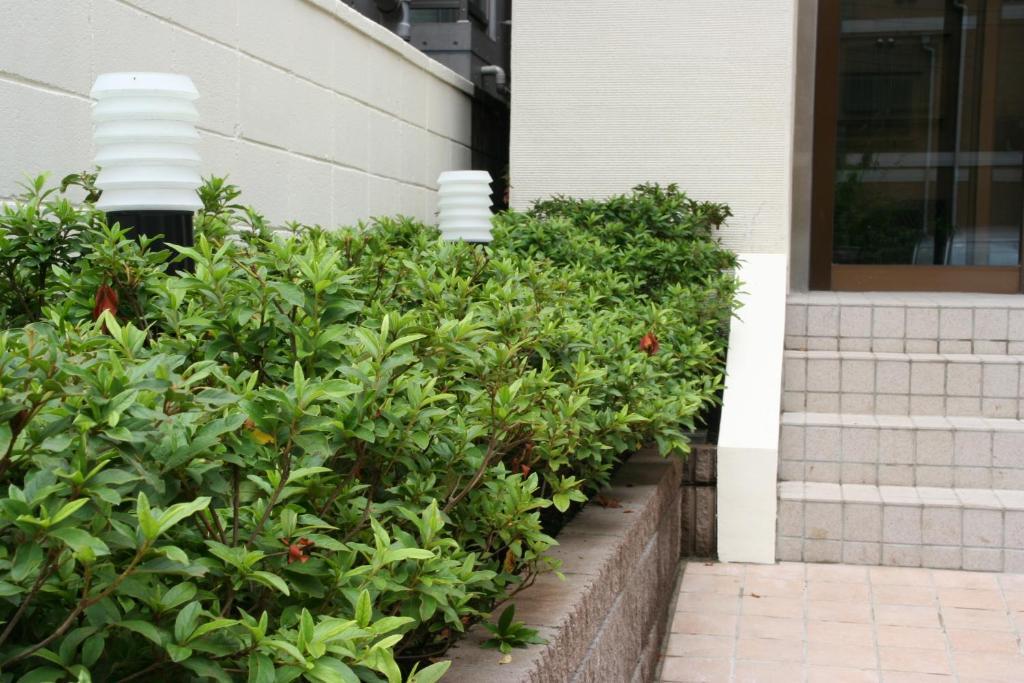 โรงแรมฮะนะบิ 2* โตเกียว